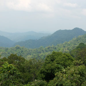 150211c7493481195548 thailande 300 710x1000