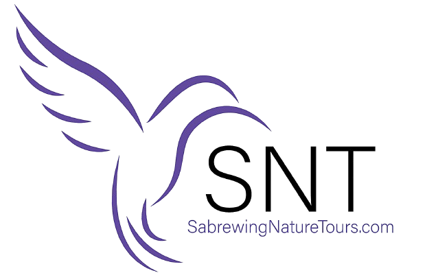 sabrewingtours