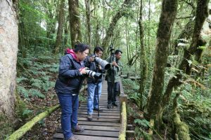 Day_2_Bird_take_a_photo_DI