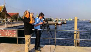 watch_shore_bird_at_Mahachai