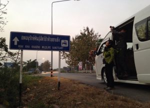 Day_5_stop_to_birding
