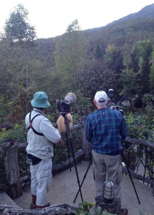 Day1_3_American_birder