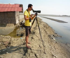 watching_Spoonbill_Sp