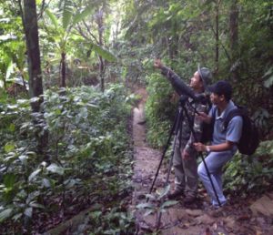 Bui_Duc_Tien_Vietnam_bird_guide_