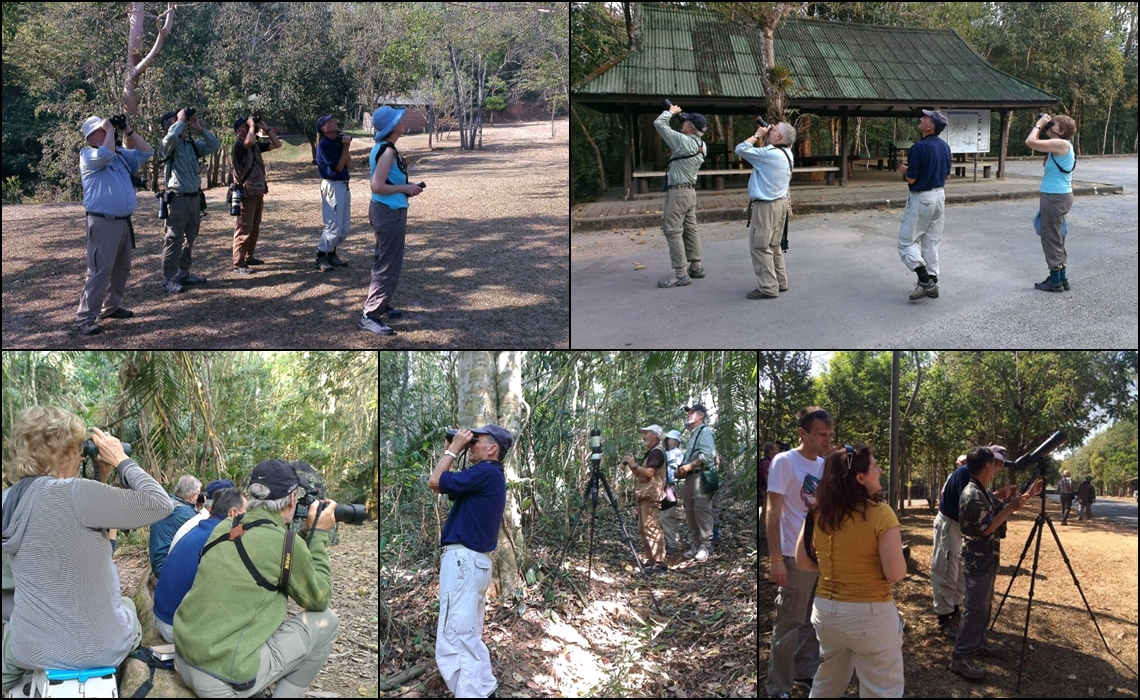 BIRDING TOUR AT KHAO YAI, FRITZ FURER TEAM FROM EUROPE