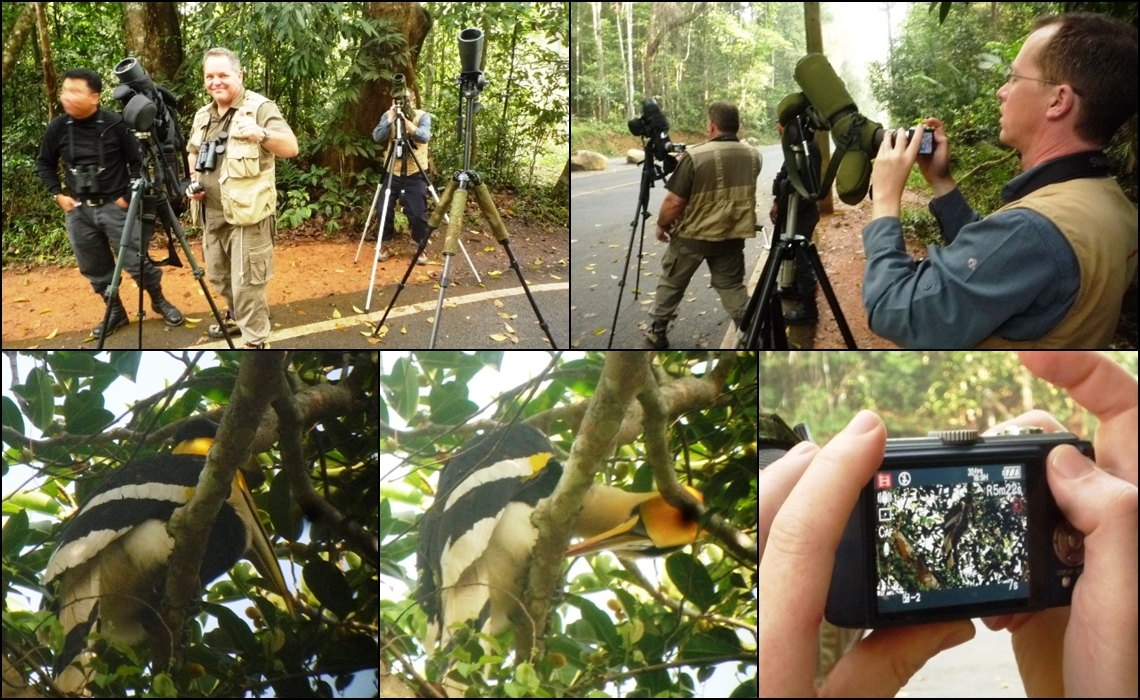 BIRD WATCHING IN KHAO YAI NP.,A DAY TRIP