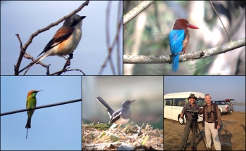 BIRDING TOUR 3 DAYS, DENMARK BIRDER IN THAILAND