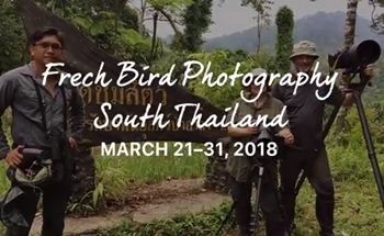 2 French Bird Photographers, March 2018