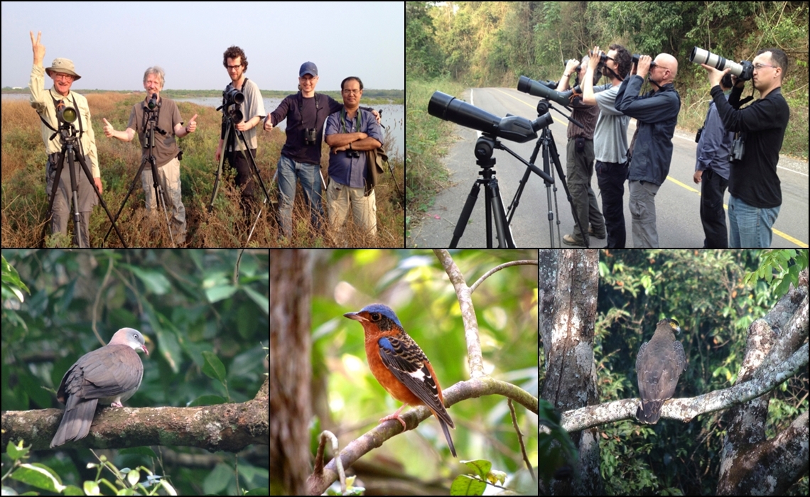 BIRDING TOUR IN MYANMAR