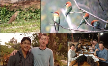 BIRDING TRIP IN THAILAND 2013,14 DAYS SEEN 360 SP.