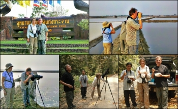 BIRD WATCHING IN THAILAND WITH SANFRANCISGO BIRDER