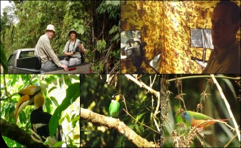 BIRD WATCHING IN THAILAND ON FEB. 2011