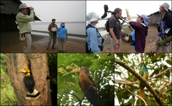 BIRDING IN THAILAND, 5 DAYS OF CALIFORNIA BIRDER