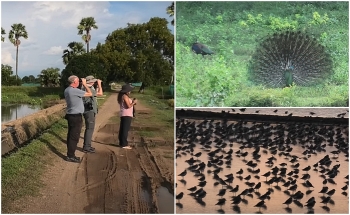 I&#039;ve finished the video editing from last year&#039;s Thailand trip.