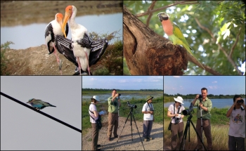 BIRDING TOUR 1 DAY WEST SIDE OF BANGKOK