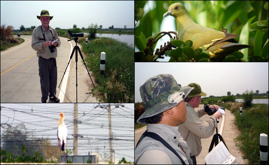 BIRDING TOUR 1 DAY IN BANGKOK, THAILAND