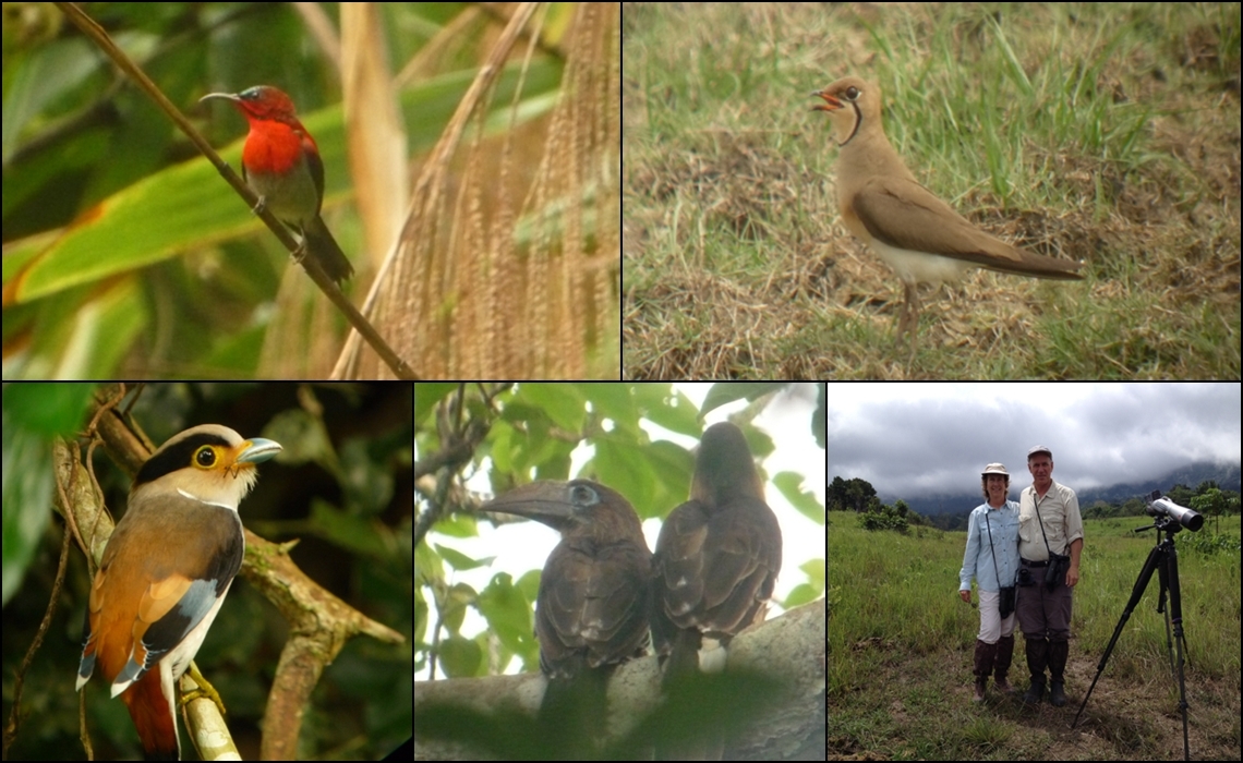 BIRDING TOUR IN THAILAND 10 DAYS 2012