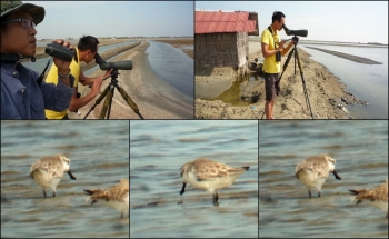 BIRD WATCHING IN THAILAND A DAY TRIP 2011