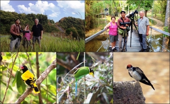 BIRD PHOTOGRAPHY TOUR IN THAILAND, 26 DAYS