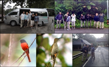 BIRDING TOUR DOI INTHANON