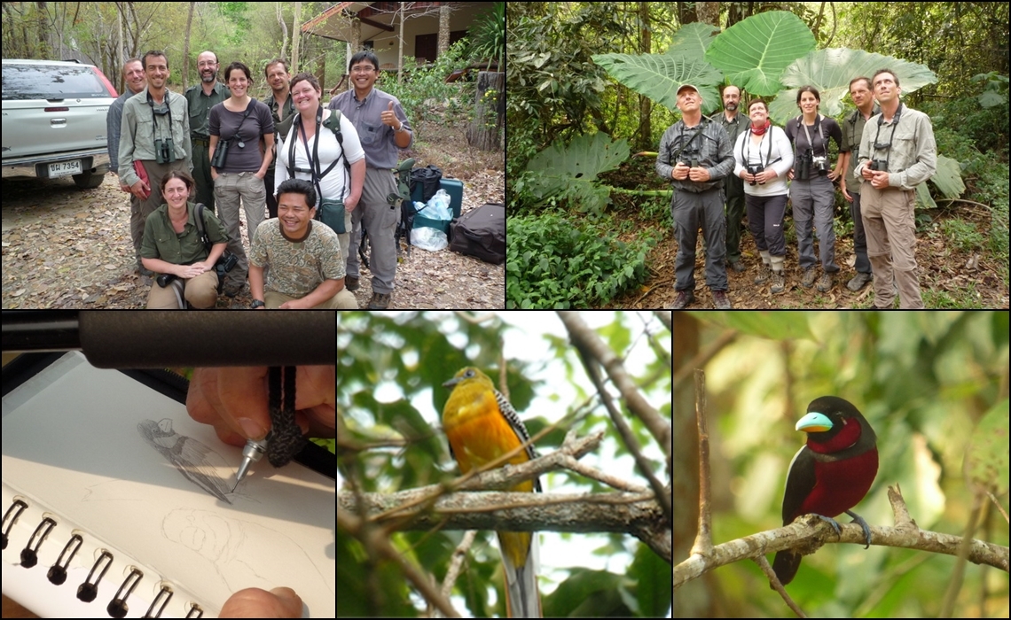 BIRDING TOUR IN THAILAND 4 NIGHT