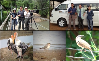 BIRD PHOTOGRAPHY 6 DAYS IN THAILAND