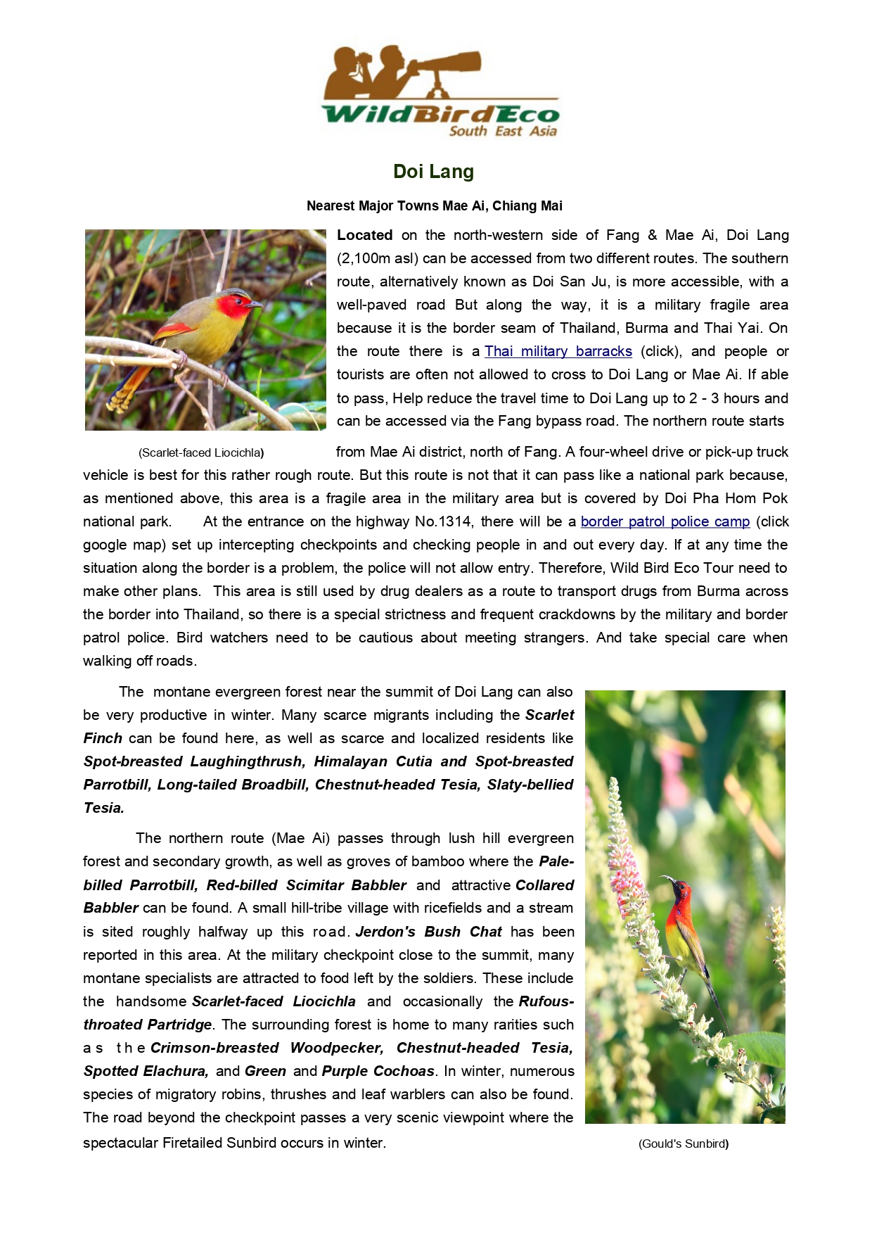 TH01XDoiXLang_page-0001.jpg