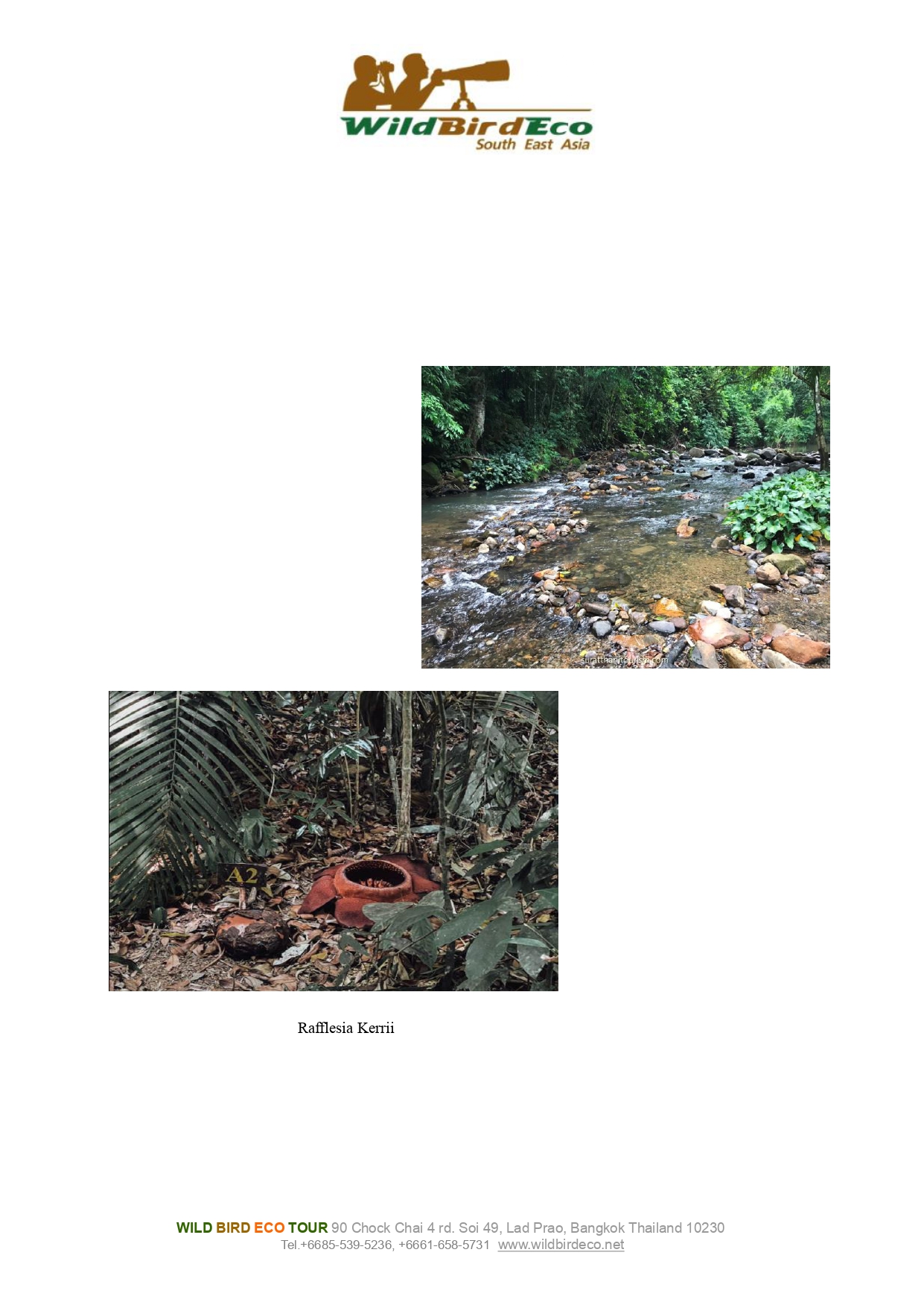 KhaoXSok_pages-to-jpg-0003.jpg