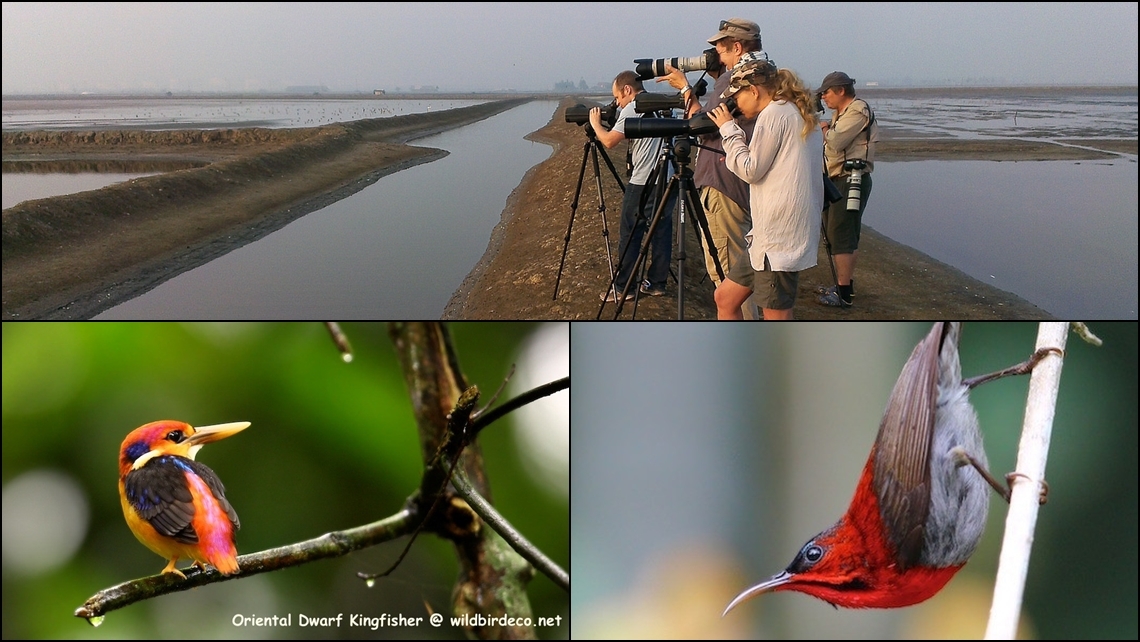 TH11 Kaeng Krachan NP.