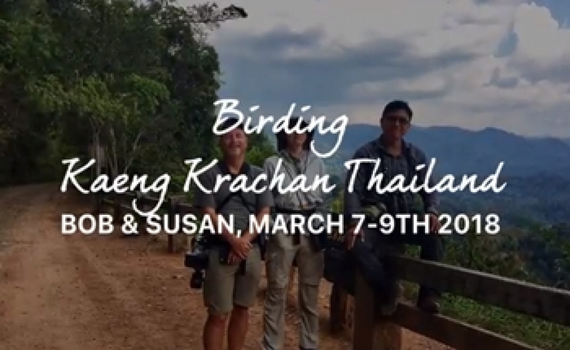2 American Birders, March 2018 trip before Ep.1-2