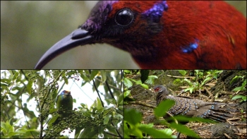VN06 Van Long Nation Reserve