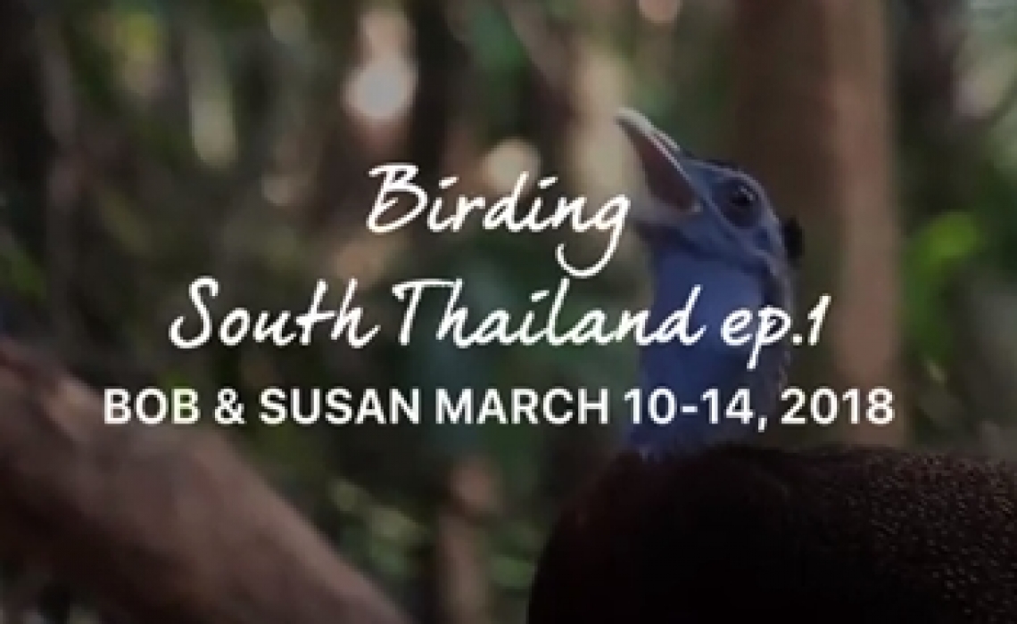2 American birders, March 2018 EP.1
