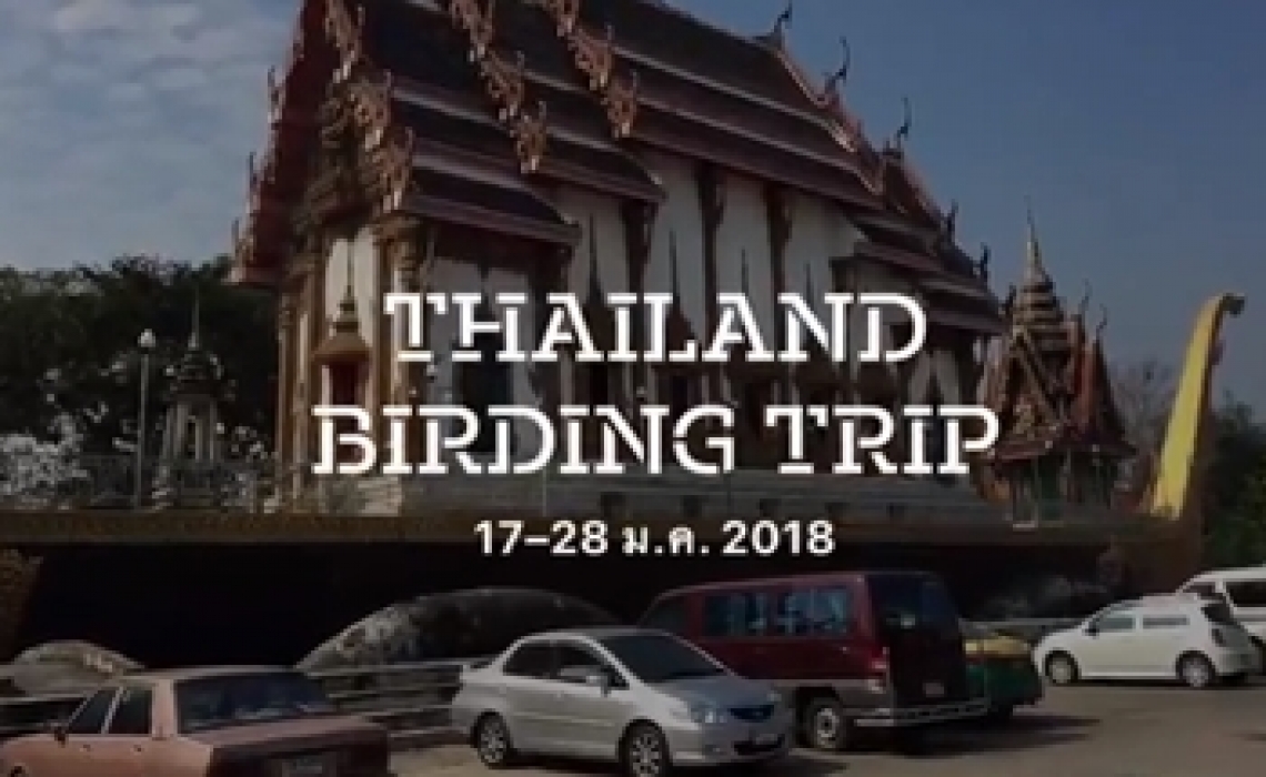 Happy Clip 5 Americans birding 2018