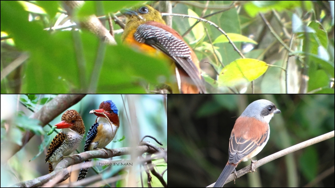 TH07 Khao Yai NP.